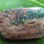 HY300 LIGHTNING RIDGE BLACK FIRE SOLID OPAL 7.33CT