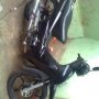 Jual Supra Fit 2004 Mulus Bandung