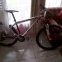 Jual MTB Scott Scale 70 (2011) muluss murah