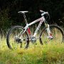 Jual MTB Scott Scale 70 (2011) muluss murah