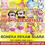 Boneka Unik Perekam Suara