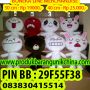 BONEKA LINE MERCHANDISE OR LINE LIME