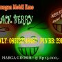 Gantungan Kunci dan Gantungan Aksesories Mobil LED Emo Black Berry