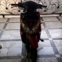 Jual Yamaha Xeon merah hitam 2010 siap pakai