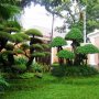 tukang taman  taman minimalis  kolam minimalis  saung dan gazebo