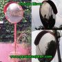 Convex Mirror