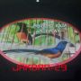 kaos burung murai batu --MB28--