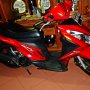 Jual suzuki skydrive 125 cc 2011 warna merah gress