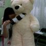 BEAR SYAL BIG GIANT