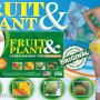 PELANGSING BADAN FRUIT & PLANT HUB 081318387771 PIN BB 23026047