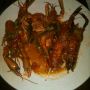 LOBSTER AIR TAWAR (Red Claw) 