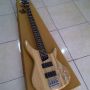 Gitar Listrik Ibanez  (S, PGM, FR, Premium, dan Bass SDGR)