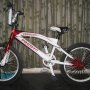 Jual Sepeda BMX Pacific Verizon