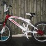 Jual Sepeda BMX Pacific Verizon