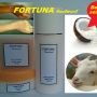 Fortuna Treatment pemutih Tubuh