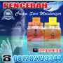 Pemutih Wajah Penghilang Jerawat Cream Sari Moisturizer Whitening