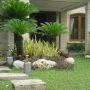 Tukang Taman Jakarta Selatan Kolam Rumput &amp; Tanaman Hias