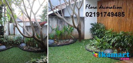 Palem Regu Cemara Udang Bonsai Tukang Taman