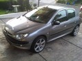 Peugeot 206 New Face Triptonik