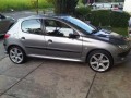 Peugeot 206 New Face Triptonik