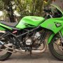 NINJA RR SPECIAL EDITION 2010 BULAN 10