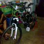 Jual Dominate 012