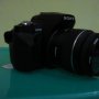 JUAL CEPAT SONY ALFA 230+18-55 sam 2,7 JT + SIGMA 28-300 MURAH