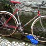 Jual Fixie classic murah