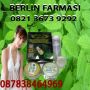 082136739292_BB 260F7913 PENJUAL OBAT PELANGSING BADAN HERBAL BALIKPAPAN,BONTANG,SAMARINDA,TARAKAN