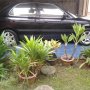 Jual Suzuki Baleno 2002