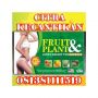 JUAL OBAT PELANGSING FRUIT*PLANT HERBAL CEPAT SLIM