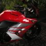 Over Kredit Ninja 250R Modifikasi mulus Bandung