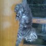 JUAL KUCING PERSIA KITTEN