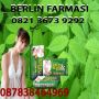 082136739292-BB 260F7913 AGEN PENJUAL PELANGSING BADAN DI MAGELANG,SOLO,SEMARANG,JOGJA,KALIMANTAN