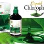 Chlorophyll K-link Liquid jogjakarta