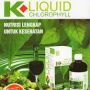 Chlorophyll K-link Liquid jogjakarta