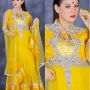 ANARKALI GOWN LIMITED 03