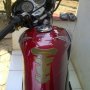 Jual Tiger Revo 2010 mata picek