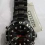 CITIZEN JT3039-53E