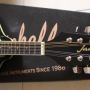 gitar James JM350 (Mandolin biru & Sunburst)