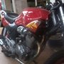 Tiger 2000 Merah Merona Magelang