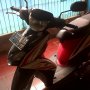 Jual mio gt 2013 Plat D