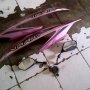 JUAL HONDA VARIO thn 2010 MULUS