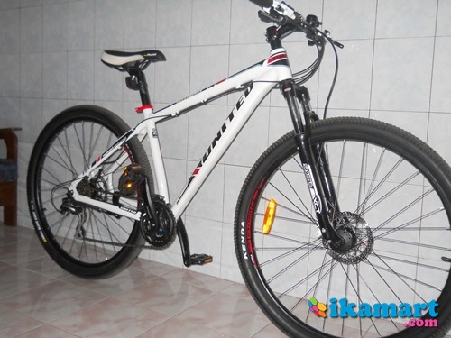  UNITED  MIAMI  XC779 29er Sepeda 