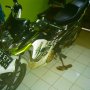 JUAL SATRIA FU 150 TAHUN 2012 Putih abu-abu