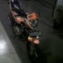 Jual Satria F 2008 boreup FULL TK