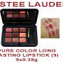 ESTEE LAUDER PURE COLOR LONG LASTING LIPSTICK (9) -