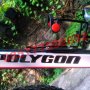 Jual Polygon Xtrada 3