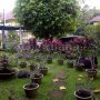 Jual Rumah Mewah Bintaro River Park 7,5M