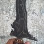 Keris Naga Sastra Item dan Keris Omyang Jimbe